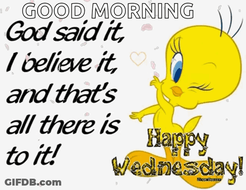 Tweety Bird Says Good Morning God Said It I Believe It Happy Wednesday GIF