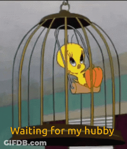 Tweety Bird Sitting In Cage Waiting For My Hubby GIF