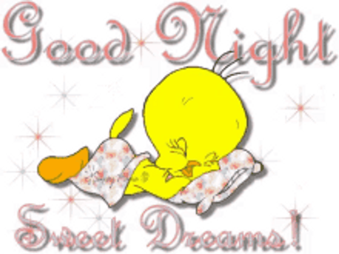 Tweety Bird Sleeping Good Night GIF