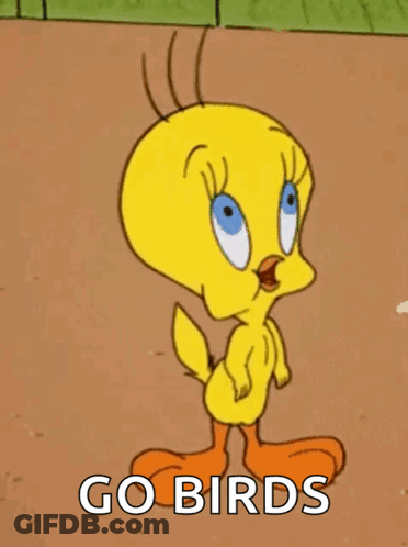 Tweety From The Looney Tunes Cartoon Is Standing On A Dirt Field And Says Go Birds . GIF