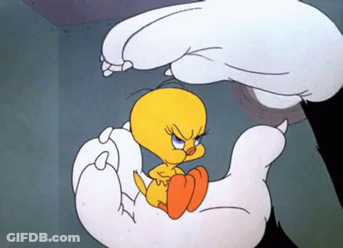 Tweety Held By Large Hand GIF