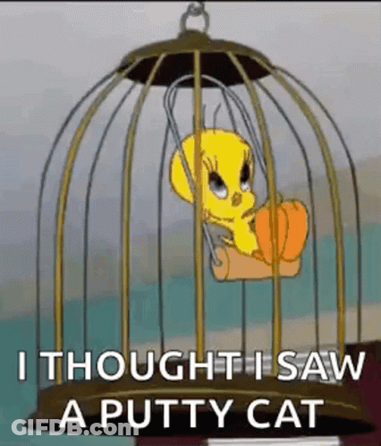 Tweety Is Sitting In A Cage With The Words `` I Thought I Saw A Putty Cat '' Written On It . GIF