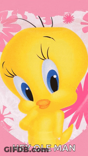 Tweety Saying Hey Ole Man GIF
