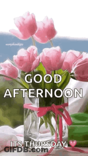 Tweety Says Good Afternoon It's Thursday GIF