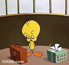 Tweety With Briefcase And Bird Seed Box GIF