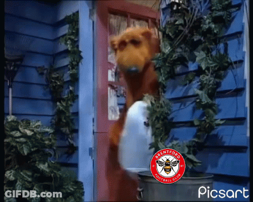 Twentyford Football Club Logo Bear GIF