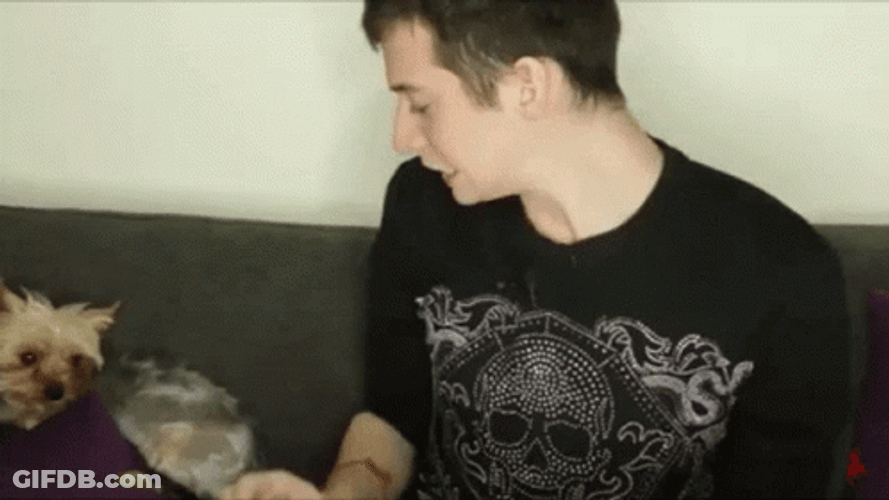 Twerking Dog By Man GIF