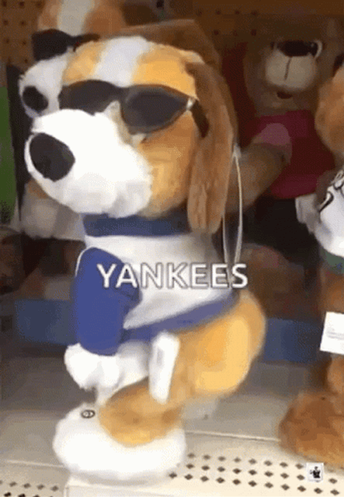 Twerking Dog Yankees GIF