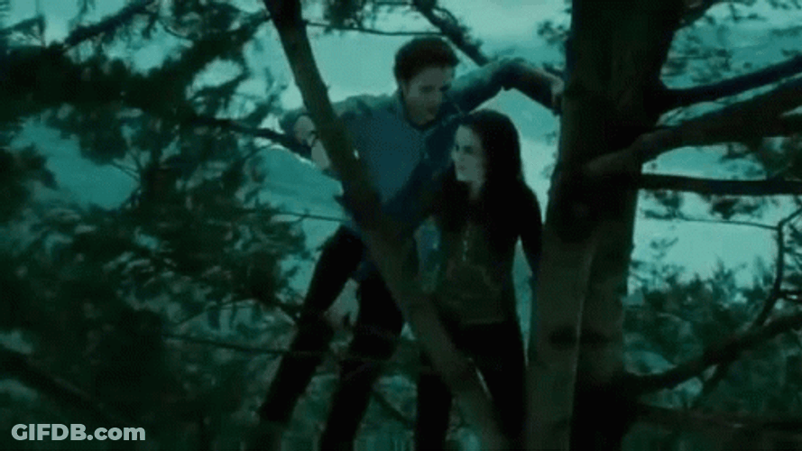 Twilight Edward And Bella On The Tree GIF