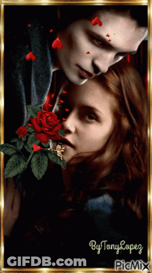Twilight Edward And Bella GIF