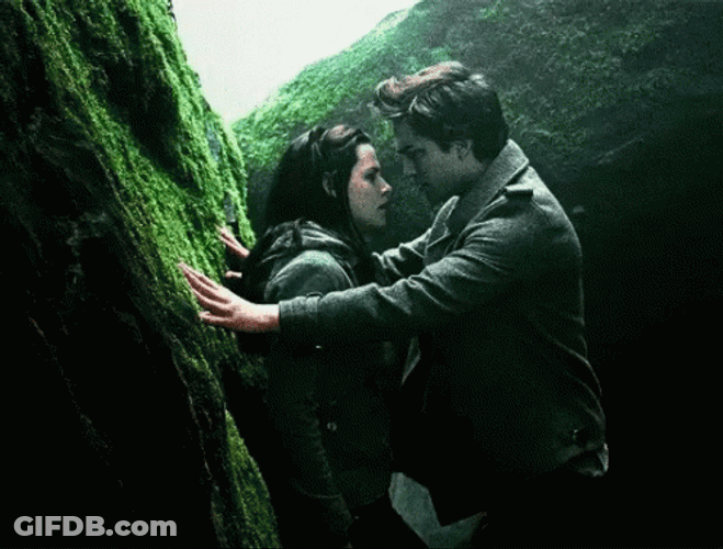 Twilight Romantic Encounter GIF