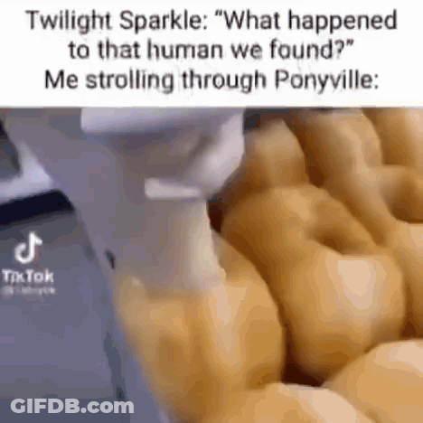 Twilight Sparkle Talking About That Human We Found GIF