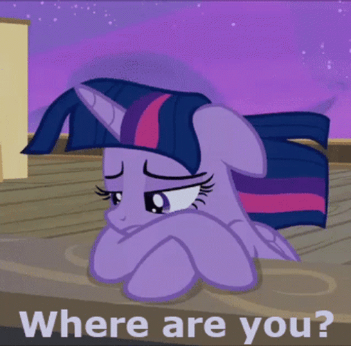 Twilight Sparkle Where Are You GIF