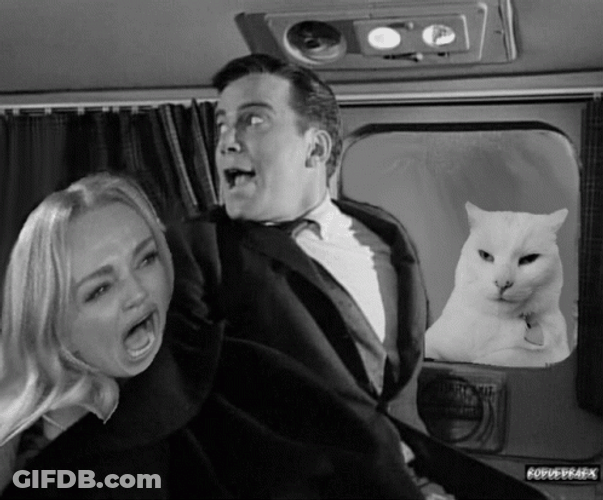Twilight Zone Airplane Cat On Window Funny GIF