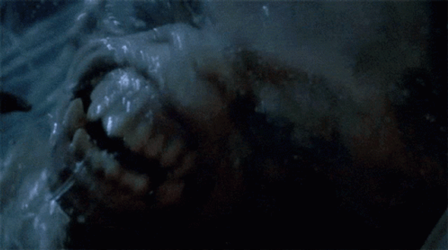 Twilight Zone Airplane Monster John Lithgow GIF