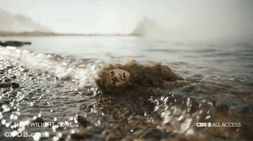 Twilight Zone Stuffed Animal Floating In Water GIF