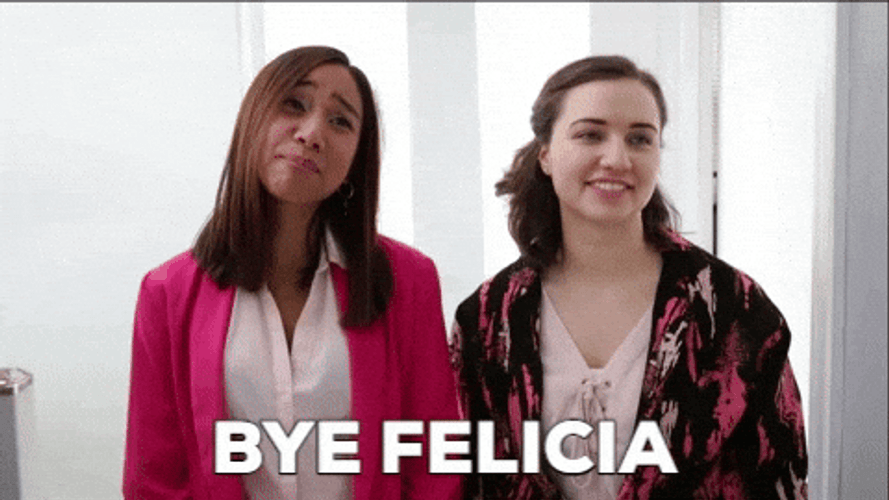 Twinning Bye Felicia GIF