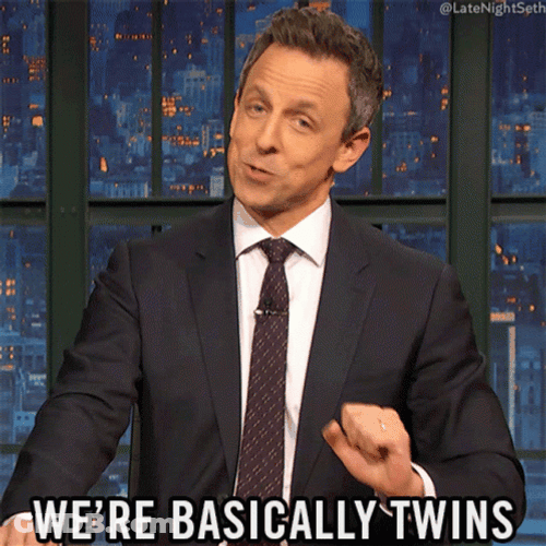 Twinning We're Basically Twins GIF