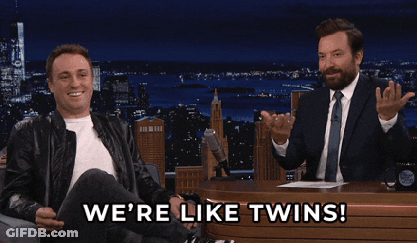 Twinning We're Like Twins GIF