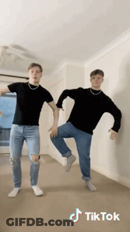 Twins GIF