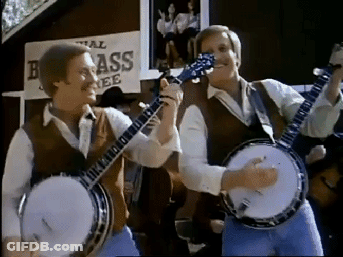 Twins Banjo Yeehaw Kick GIF