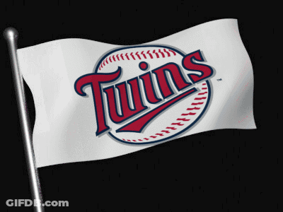 Twins Flag Waving On Black Background GIF