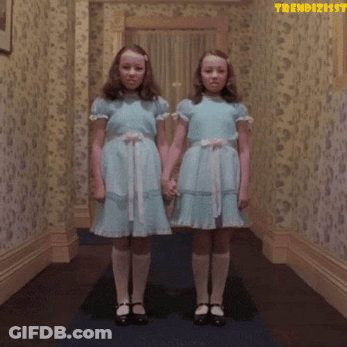 Twins GIF
