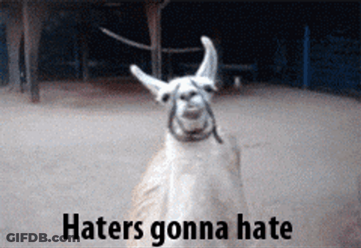 Twirling Alpaca Haters GIF