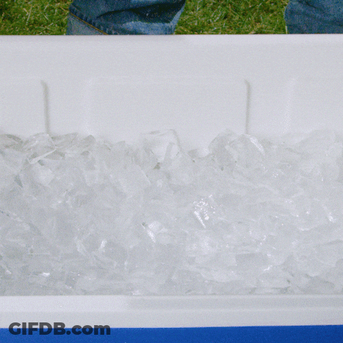Twisted Tea Ice Bucket GIF