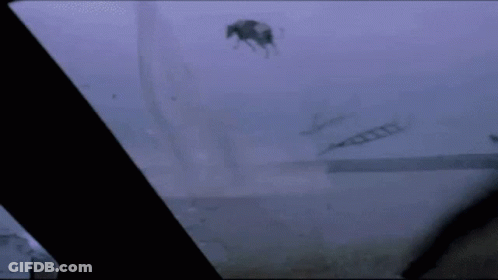 Twister Movie GIF