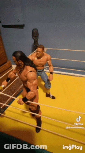 Two Action Figures Wrestling In Ring With TikTok Watermark GIF