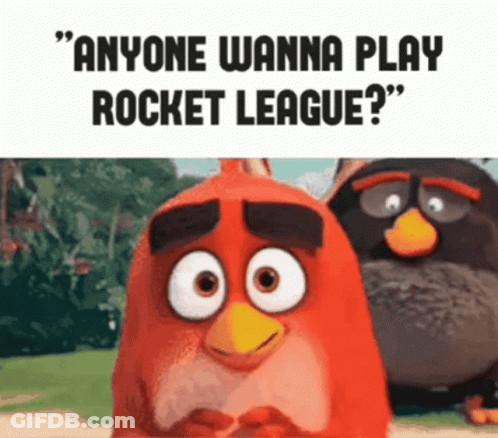 Two Angry Birds Anyone Wanna Play Rocket League GIF