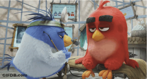 Two Angry Birds Next To Park Rules Sign GIF