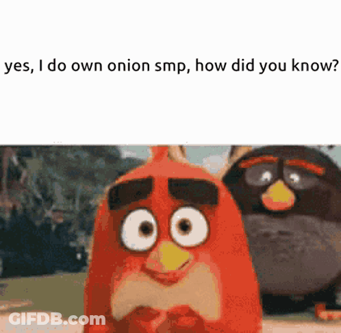 Two Angry Birds Saying Yes I Do Own Onion SMP GIF