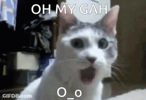 Two Animals Hugging Saying You Make Me So Happy I Love You Very Much GIF