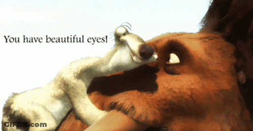 Two Animals You Have Beautiful Eyes GIF