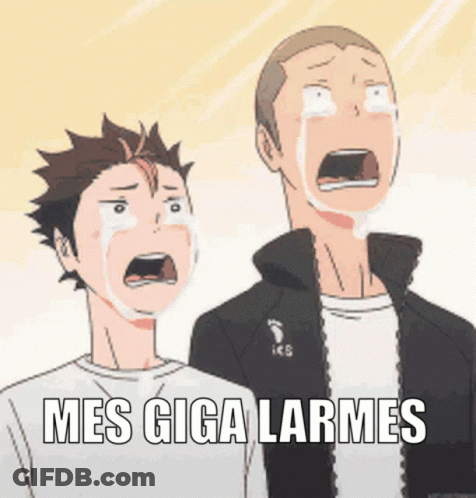 Two Anime Characters Crying Mes Giga Larme GIF