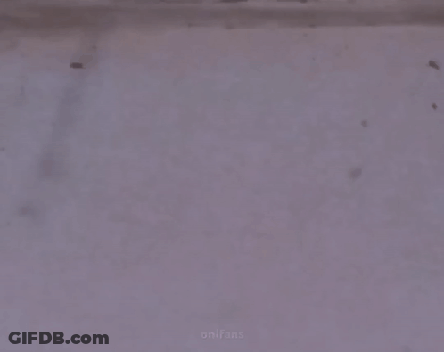 Two Ants Shaking Hands With A Man In A Suit GIF