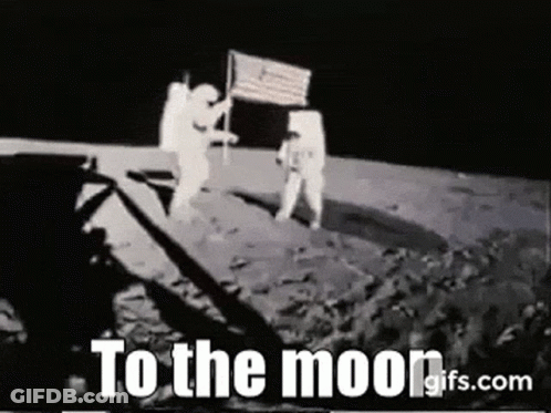 Two Astronauts Are Standing On The Moon Holding A Flag . GIF