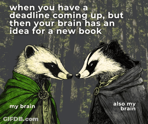 Two Badgers Next To Each Other When You Have A Deadline GIF