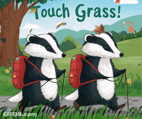 Two Badgers Walking Path With Touch Grass Text GIF
