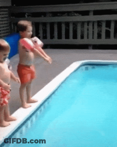 Two Bald Eagles Flying In Blue Sky 2022 GIF