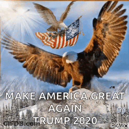 Two Bald Eagles Flying Over Mountain Make America Great Again Trump 2020 GIF
