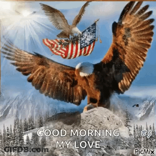 Two Bald Eagles Flying Over Mountain With American Flag GIF