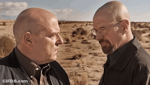 Two Bald Men Looking At Each Other In Desert GIF