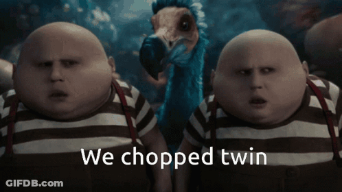 Two Bald Men Standing With We Chopped Twin GIF