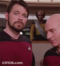 Two Bald Men With Beards GIF