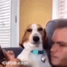 Two Basketball Players Number 8 GIF