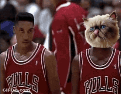 Two Basketball Players Wearing Bulls Jerseys Are Holding Hands GIF