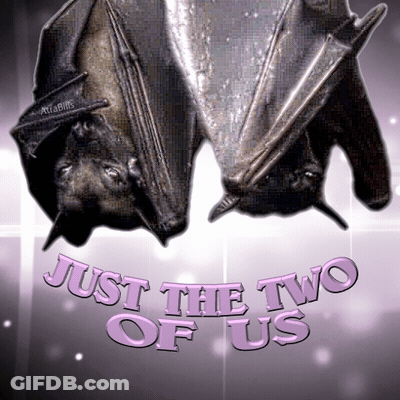 Two Bats Are Hanging Upside Down And The Words Just The Two Of Us Are Below Them GIF